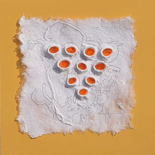 TENSHELLS 10